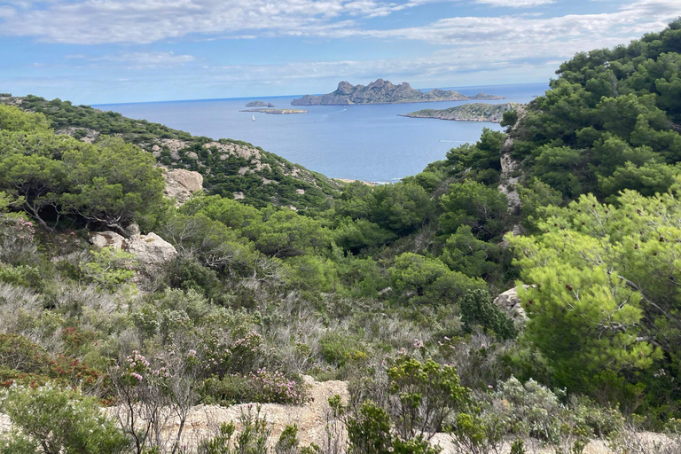 Calanques Ridge Trek with Panoramic Mediterranean Views