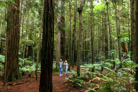 Från Auckland: Hell&#039;s Gate Mud Bath &amp; Rotorua Highlights Tour