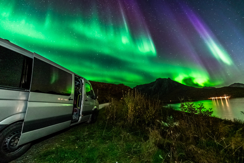 Tromsø: Northern Lights Tour (Max 8) Pickup + Finland