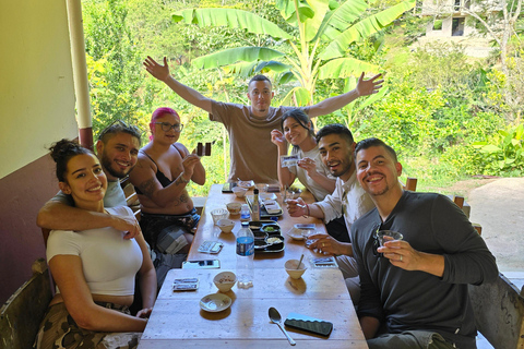 Medellin: Chocolate Farm Private Tour w/Workshop and Tasting