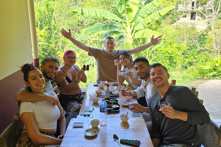 Medellin: Chocolate Farm Private Tour w/Workshop and Tasting