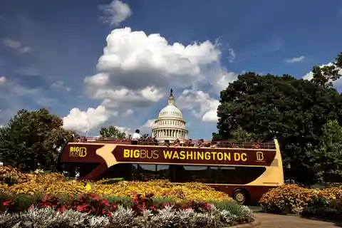 Best of DC: Hop-on Hop-off Bus Tour & Night Tour (Save 40%)