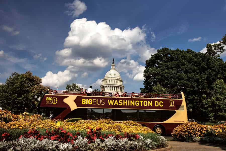 Best of DC: Hop-On/Hop-Off-Bustour & Nachttour (40% sparen). Foto: GetYourGuide