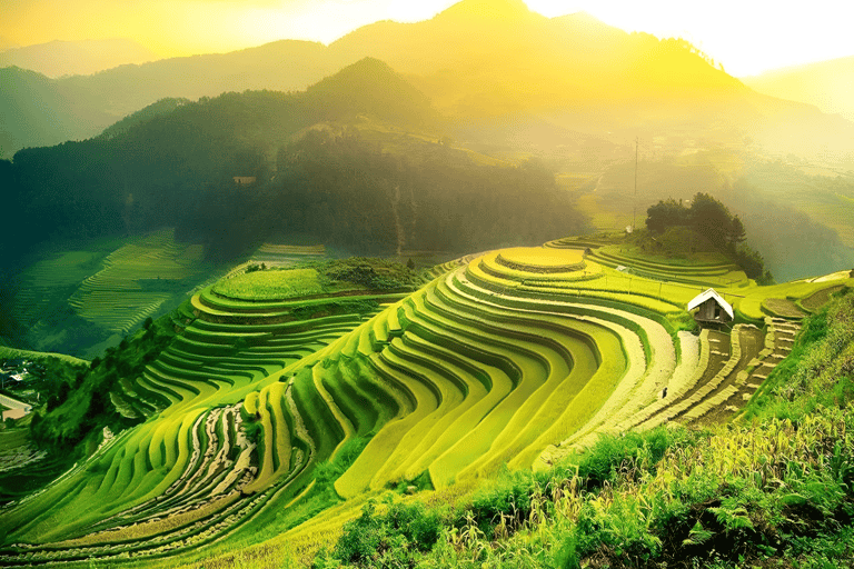 From Hanoi: Visit Sapa 3 Days & See The Terraced Fields Group Tour With A 4-Star Hotel