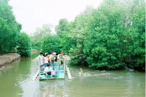 Bosque de manglares de Can Gio