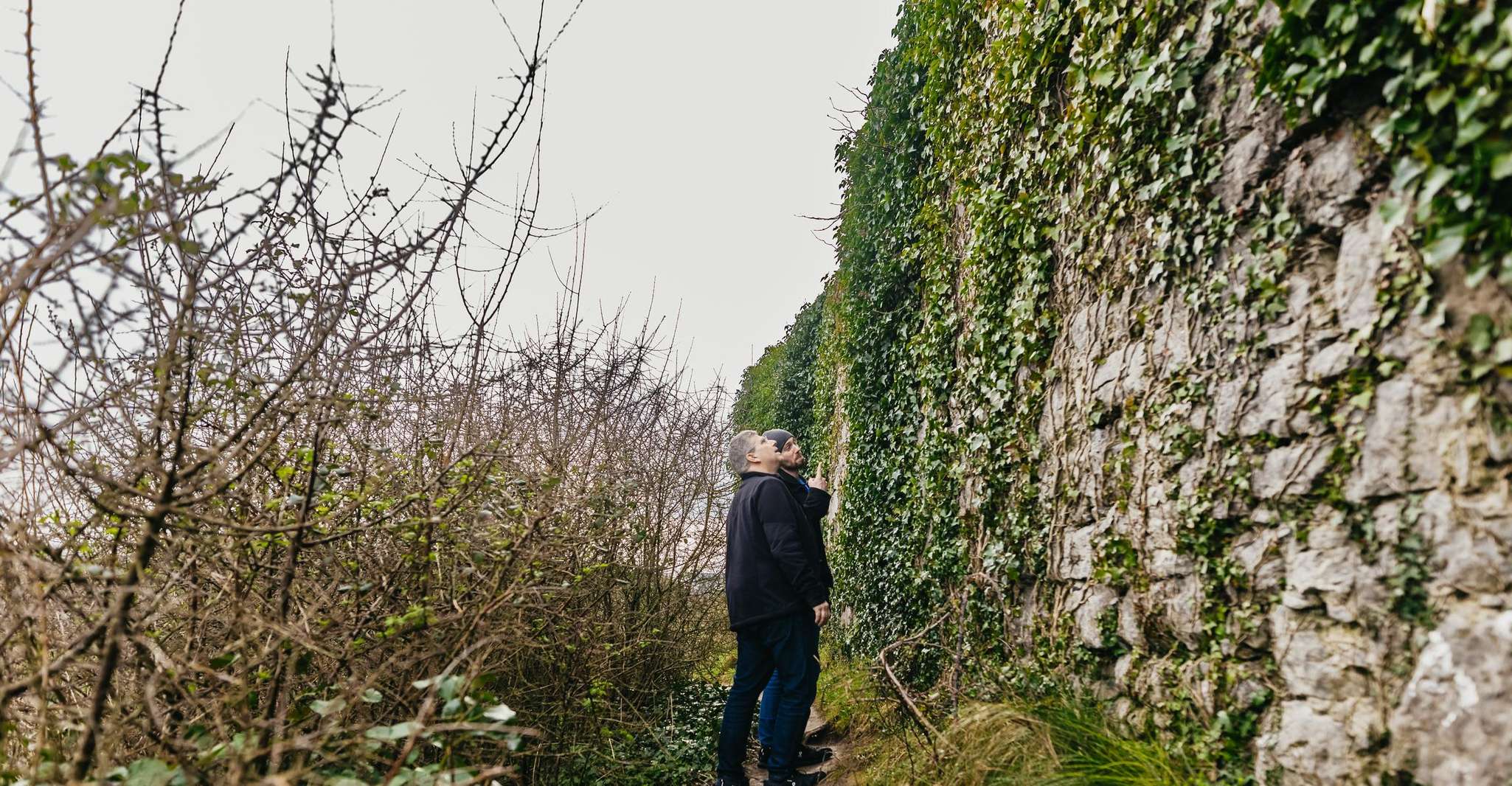 From Galway: Cliffs of Moher and The Burren Guided Day Trip photo 7
