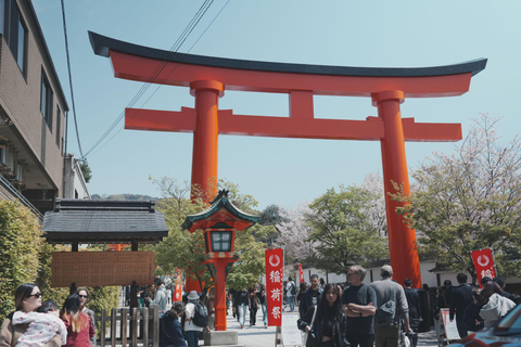 Kyoto Customisable Private Tour with a Local Guide