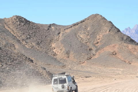 Hurghada: Desert Jeep Safari, Camel Ride, BBQ & Stargazing Without Quad: Desert Stargazing with BBQ Dinner