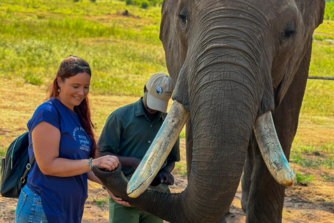 Victoria Falls: Elecrew através dos olhos de um elefante