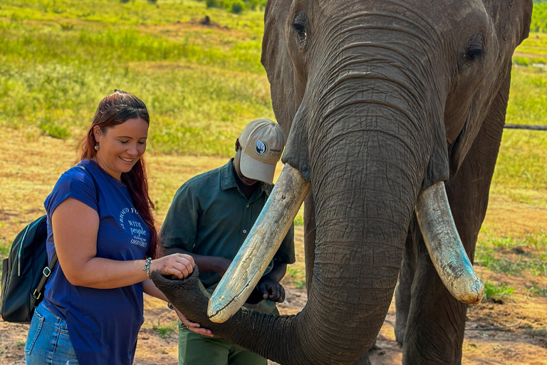 Victoria Falls: Elecrew através dos olhos de um elefante