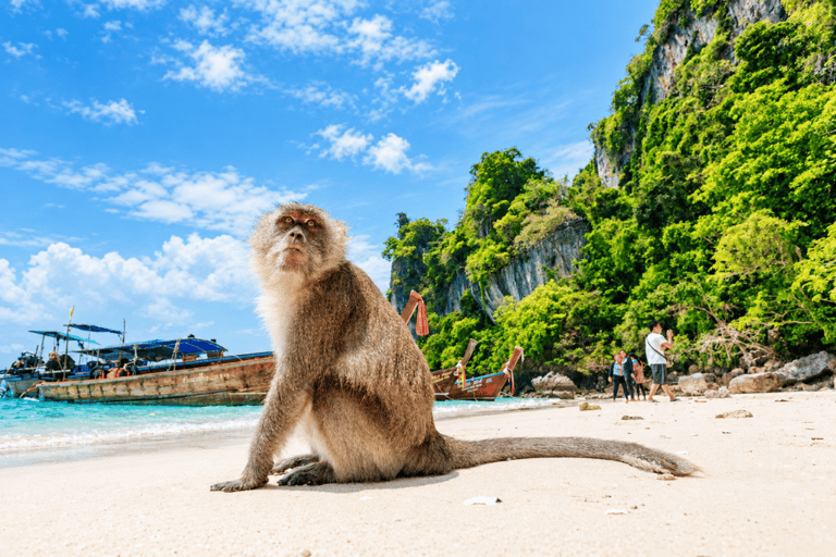 Phuket: Phi Phi, Maya Bay & Khai Island Speedboat Day Tour Speedboat Tour Including National Park Fee
