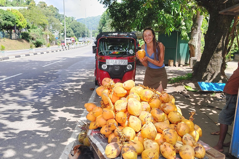 Kandy: Guided City Tour with Boat Ride & Tuk-Tuk Ride