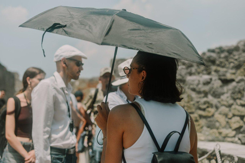 From Naples Pompeii & Mount Vesuvius Smart Tour with Tickets