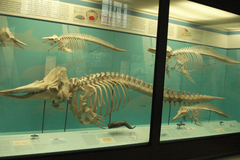 Milan: Natural History Museum Entry Ticket & Audio Guide