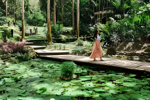 Nadi: Garden of Sleeping Giant & Sabeto Hot Springs Tour