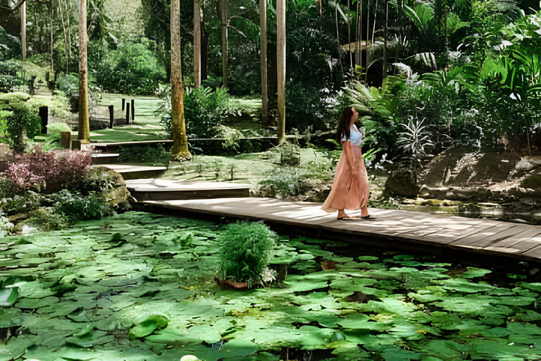 Nadi: Garden of Sleeping Giant & Sabeto Hot Springs Tour