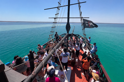 From Djerba: Pirate Day at Plage des Sables Blancs - Zarzis