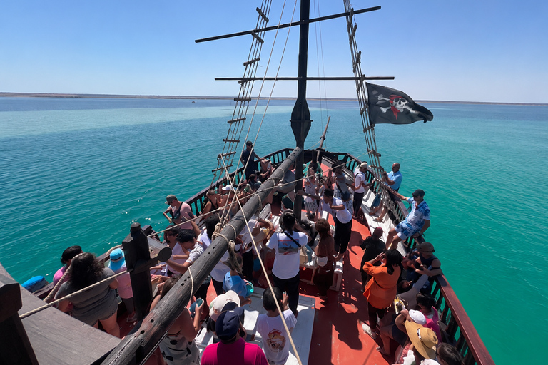 From Djerba: Pirate Day at Plage des Sables Blancs - Zarzis