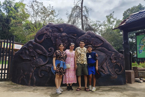 Colombo: Kandy Day Trip with Scenic Hill Country Train Ride