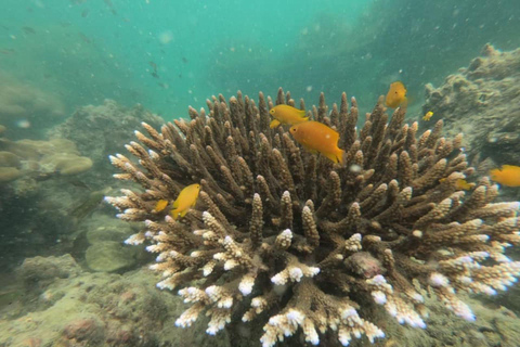 Koh Lanta: 4 Islands and Emerald Cave Snorkeling Trip