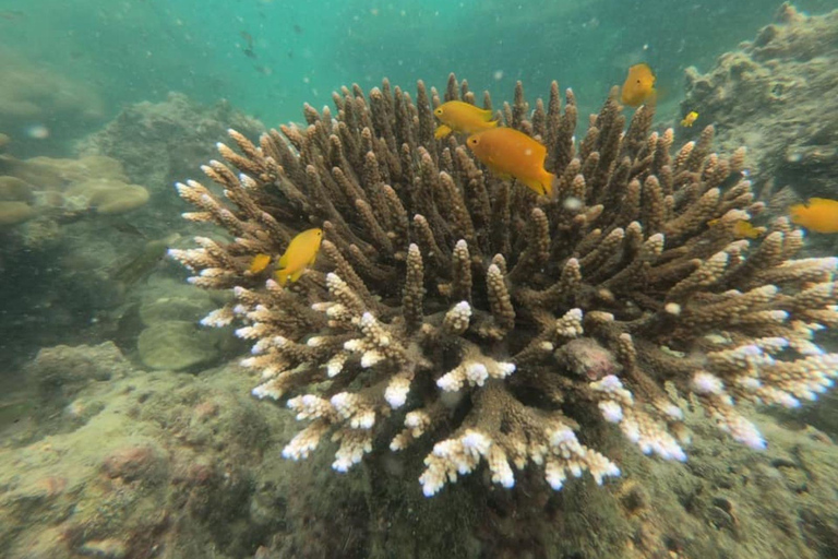 Koh Lanta: 4 Islands and Emerald Cave Snorkeling Trip