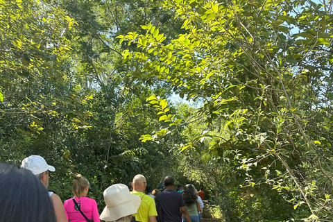 Cataratas del Iguazú: lado argentinoCataratas Argentina