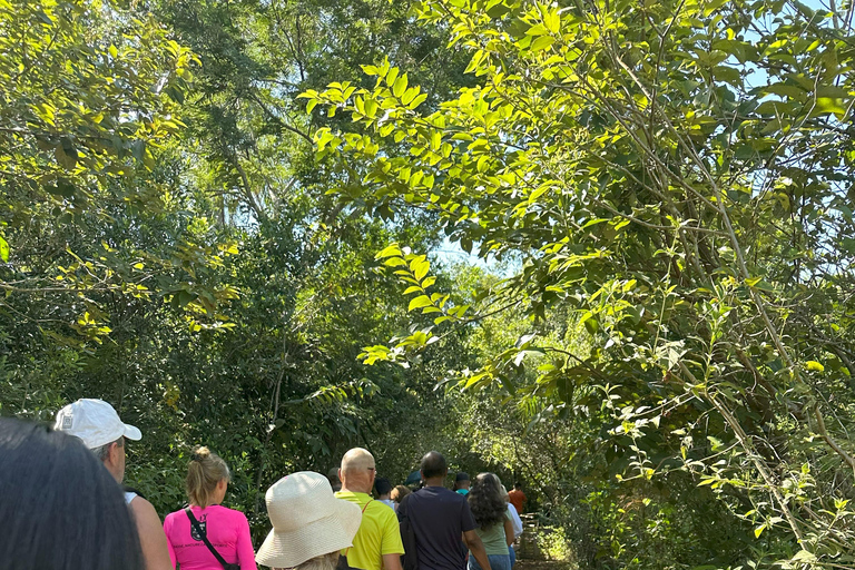 Cataratas del Iguazú: lado argentinoCataratas Argentina