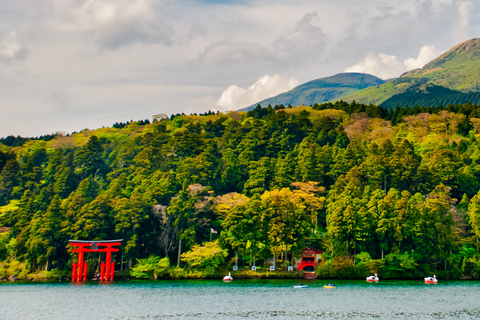 From Tokyo: Mt. Fuji Views Private Customize Itinerary Tour