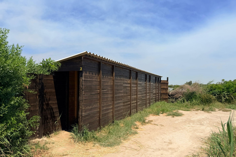 Camargue: Discover Horses and Wild Birds by Electric Golf Cart Petit Rhône Reserve – Immersive tour in a 2-seater electric vehicle