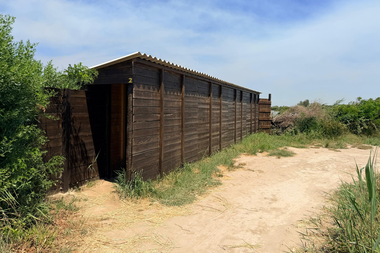 Camargue: Discover Horses and Wild Birds by Electric Golf Cart Petit Rhône Reserve – Immersive tour in a 2-seater electric vehicle