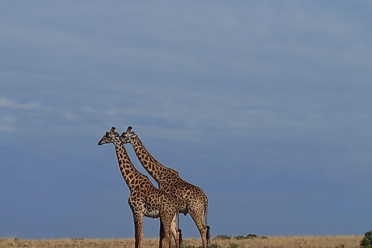 Nairobi: Dagtrip Nationaal Park en Giraffencentrum en lunch