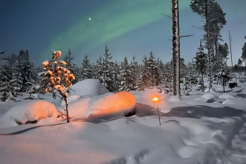 Rovaniemi: Northern Lights Tour with Finnhorses Sleigh Ride