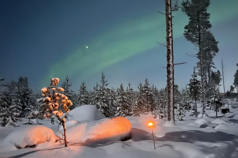 Rovaniemi: Northern Lights Tour with Finnhorses Sleigh Ride