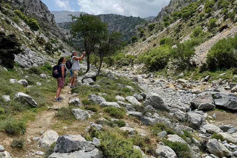 Creta: Excursión Guiada de Senderismo por la Meseta de Lassithi