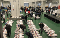 TOYOSU TUNA -VEILING EN TSUKIJI MARKT BY GOV LICENSIE Gids - Housity