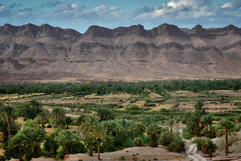 Au départ du Caire : El-Alamin, oasis de Siwa et safari dans le désert occidentalVisite privée