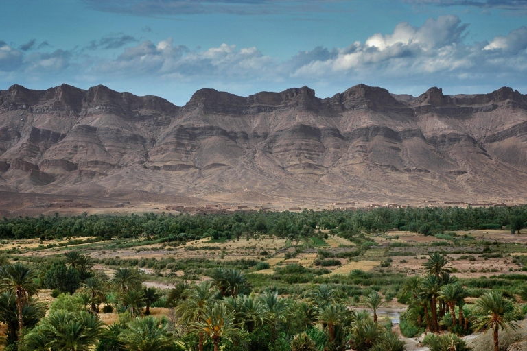 Vanuit Caïro: El-Alamin, Siwa Oase & Westelijke WoestijnsafariPrivé rondleiding