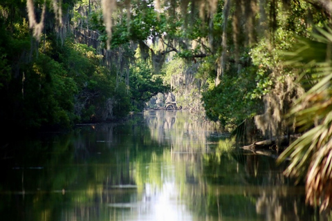 New Orleans: Swamp Tour on Covered Pontoon Boat Covered Swamp Tour with Transportation