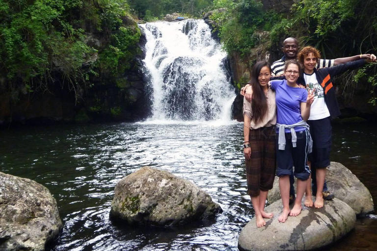 Moshi: Marangu Waterfalls and Chagga Tribe Day Tour