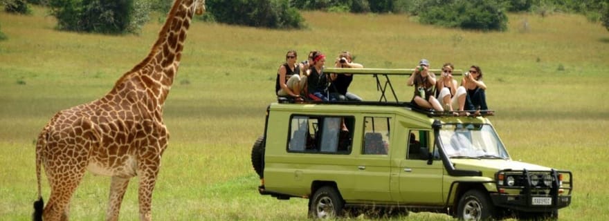 Visite à la journée du parc safari de Phezulu depuis Durban