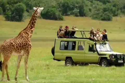 Phezulu Safari Park 1/2 Day Tour From Durban