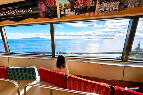 Small Group Day Tour:Omuro Mountain & the Izu Scenic Railway Hotel Transfer Option