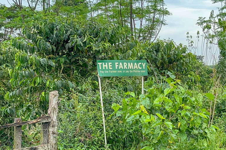 Zorobwe: Coffee Farm Tour with Cupping Session And Lunch