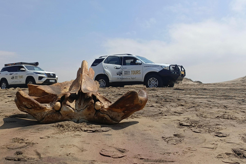 Small Group Sandwich Harbour 4x4 tour where dunes meet ocean