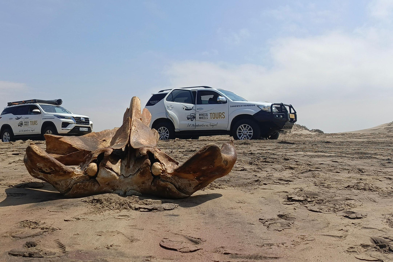 Small Group Sandwich Harbour 4x4 tour where dunes meet ocean