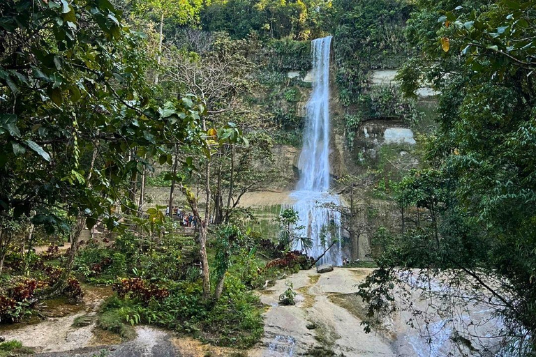 Bohol: Chocolate Hills & Tarsiers Private Tour with Driver Bohol: Car/SUV/Van-only Affordable Private Tour