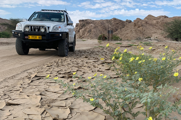 Walvis Bay: Moon Landscape Sunrise Photo Tour