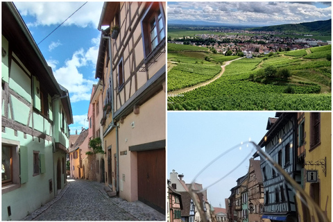 Vinprovning i Alsace