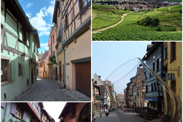 Alsace Wine Tasting Tour