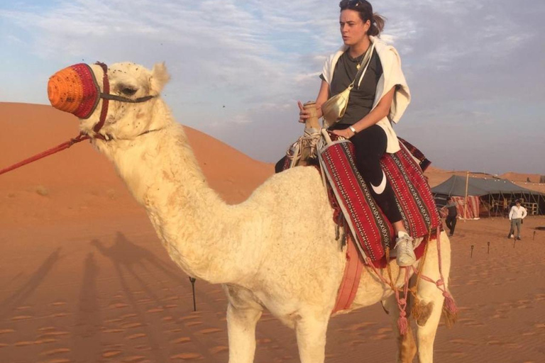 Riyadh Desert Safari Camel Ride Quad Bikes, and Dinner